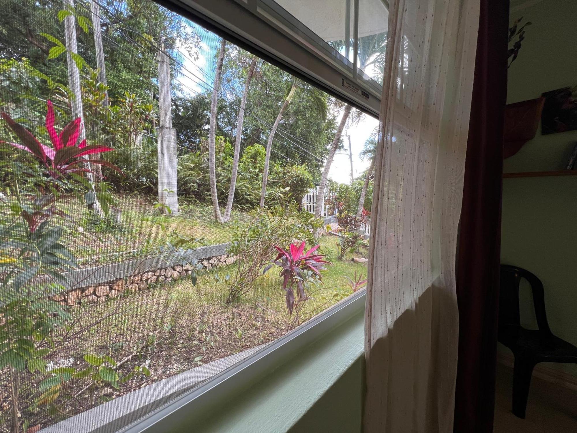 All Nations Guest House Port Antonio Oda fotoğraf